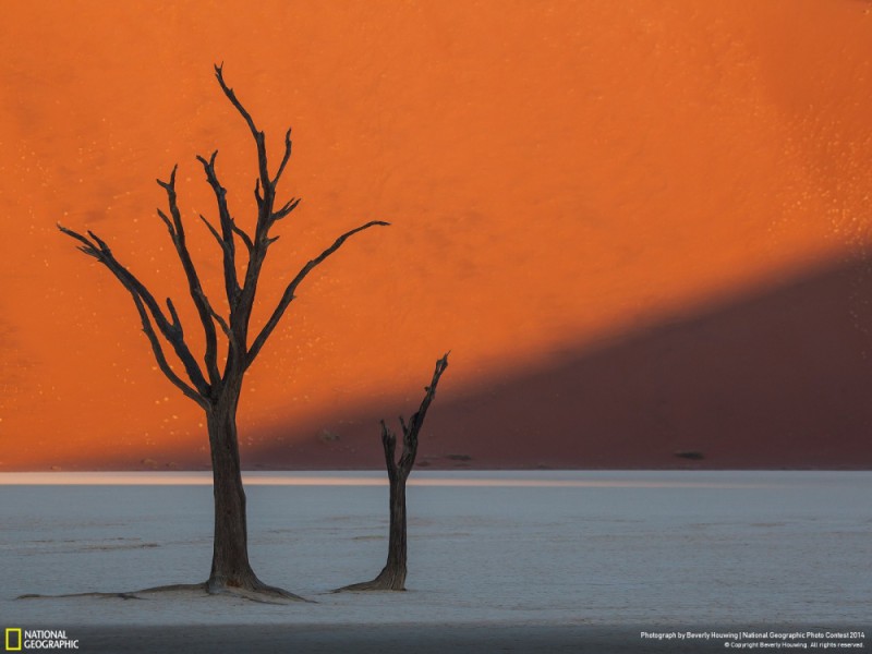 National Geographic-foto22