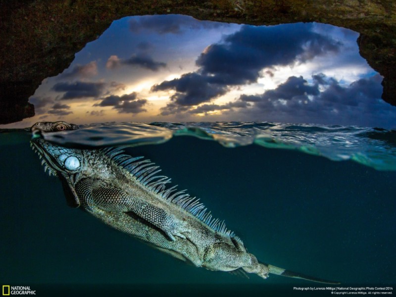National Geographic-foto3