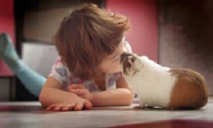 Учим детей бережно относиться к животным