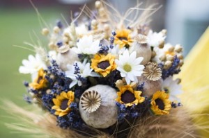 shutterstock_550056001-1024x683.jpg2